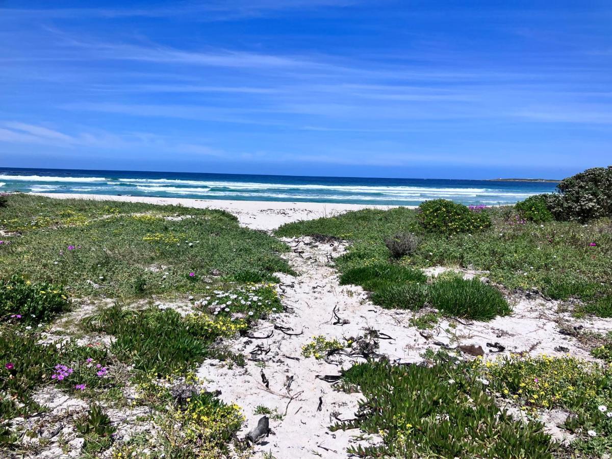 Silverdunes - Seaview Bettyʼs Bay エクステリア 写真